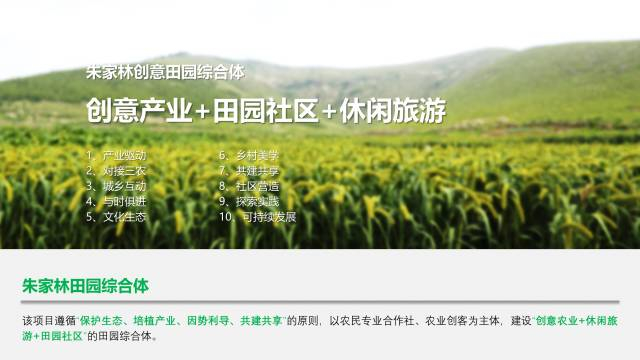 山東省臨沂市朱家林田園綜合體匯報規劃設計方案