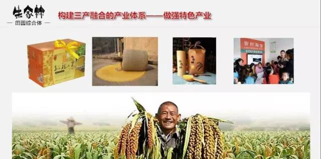 朱家林田園綜合體規劃方案269
